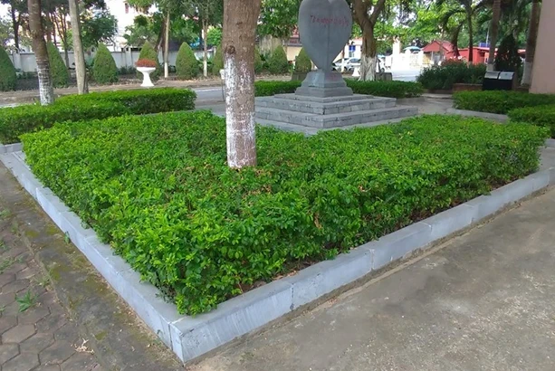 Bó vỉa đá quanh bồn cây trong công viên